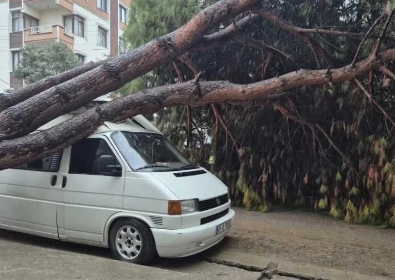 Karamürsel’de devrilen ağaç yolu kapattı