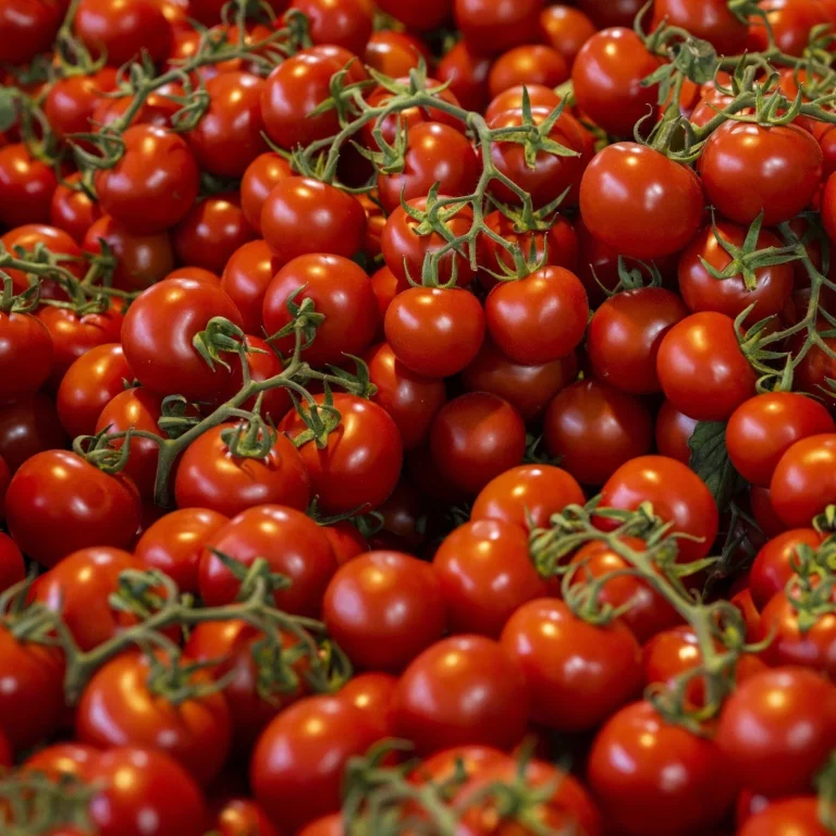 Bakanlık harekete geçti: Çeri domatesteki fahiş fiyat